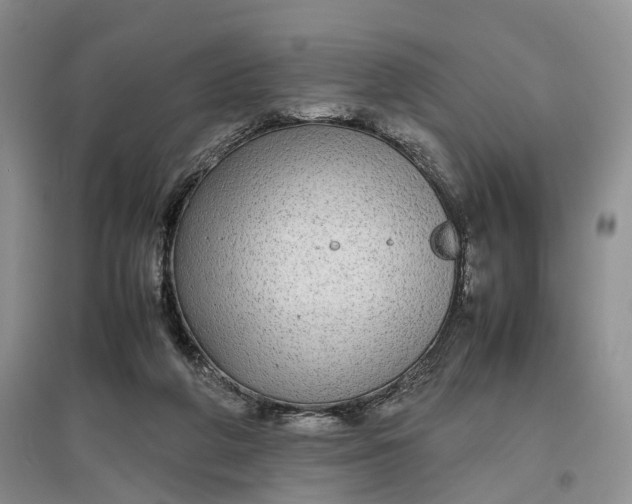 X0000097300210200802291820