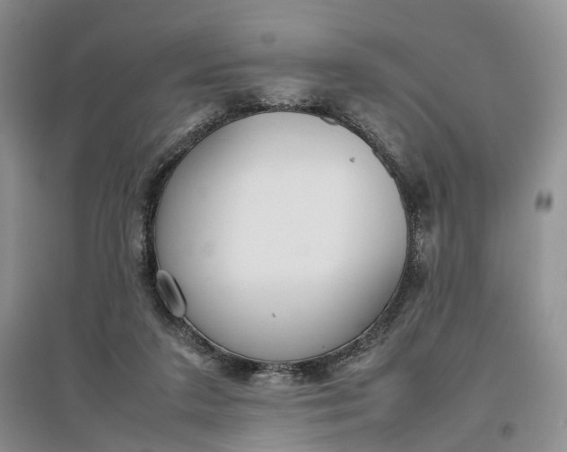 X0000097300211200802291820