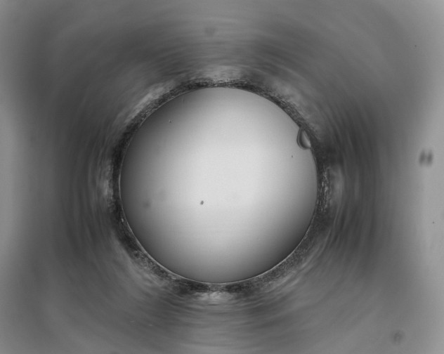 X0000097300212200802291820