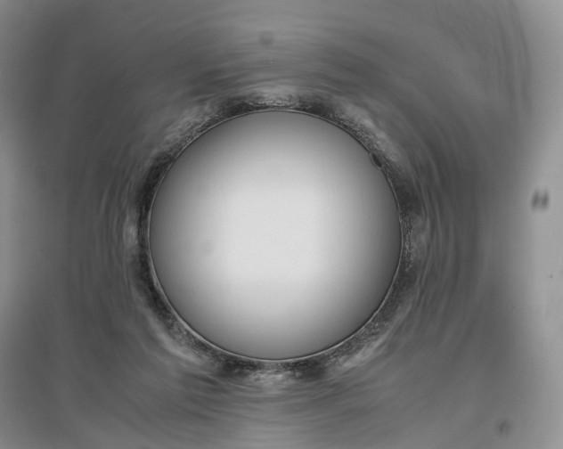 X0000097300213200802291820