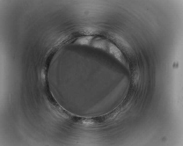 X0000097300214200802291820