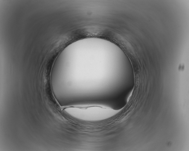 X0000097300215200802291820