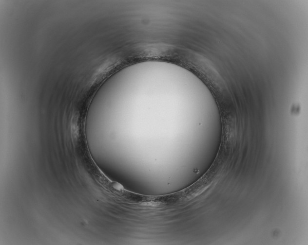 X0000097300216200802291820