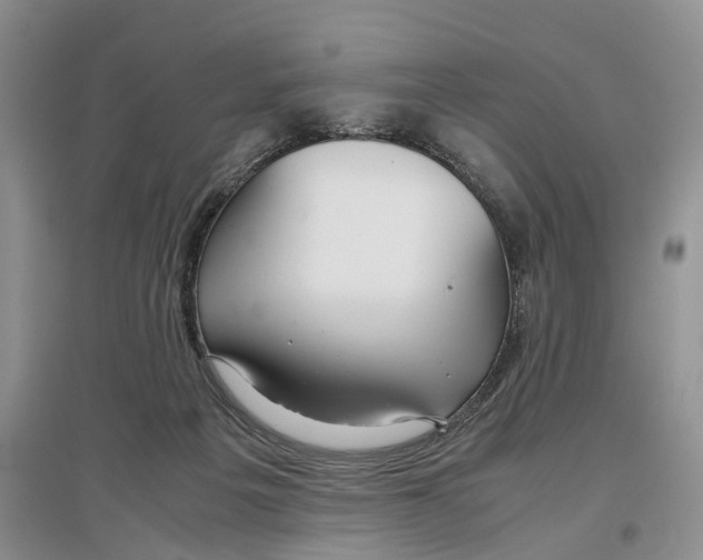 X0000097300217200802291820