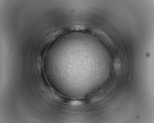 X0000097300218200802291820