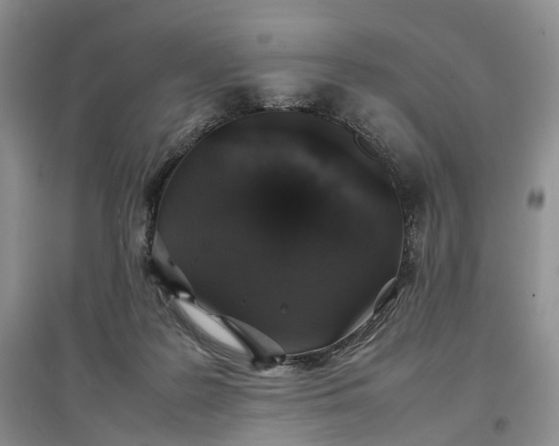 X0000097300219200802291820