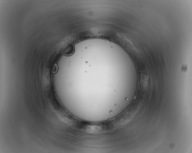 X0000097300220200802291820