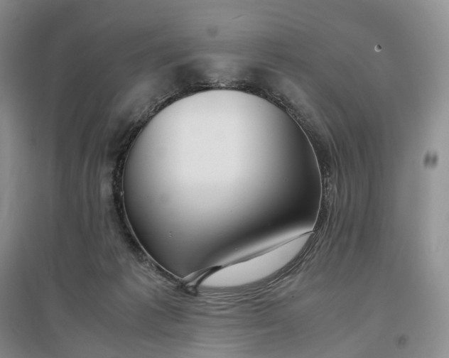 X0000097300221200802291820