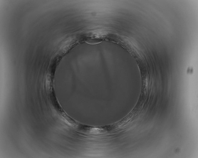 X0000097300222200802291820