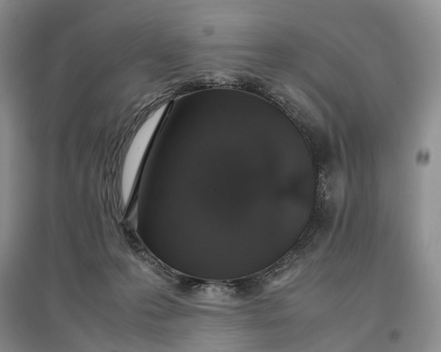 X0000097300223200802291820