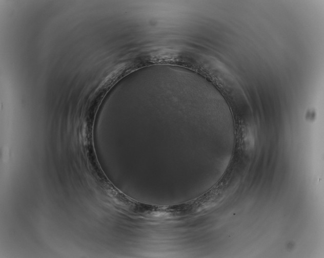 X0000097300224200802291820