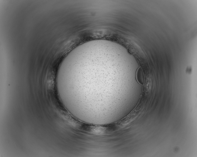 X0000097300226200802291820