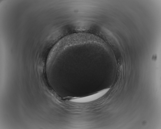 X0000097300227200802291820