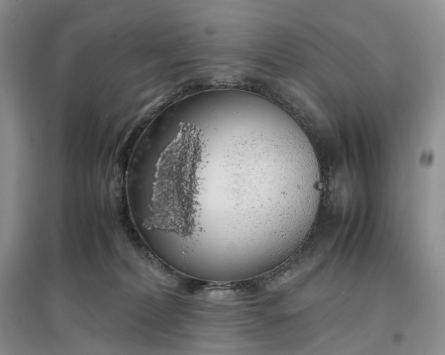 X0000097300228200802291820