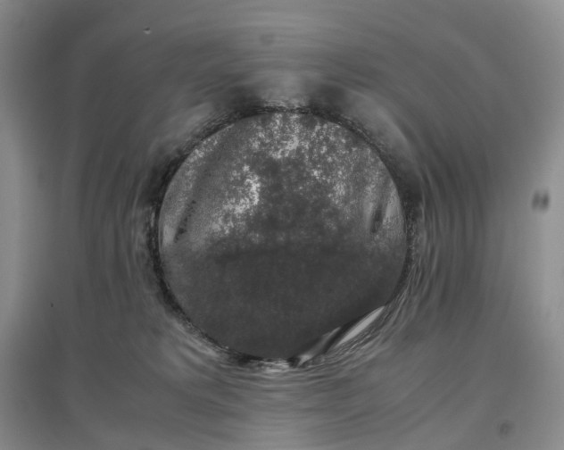 X0000097300229200802291820