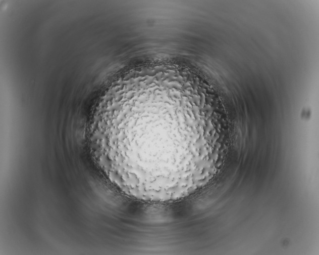 X0000097300230200802291820