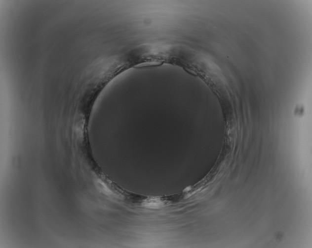 X0000097300231200802291820