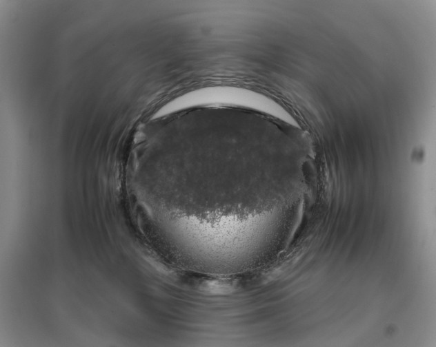 X0000097300232200802291820