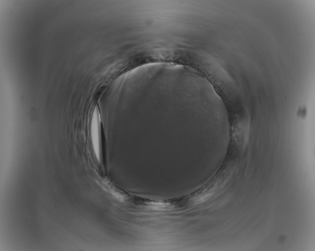 X0000097300233200802291820