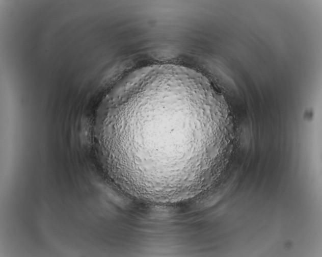 X0000097300234200802291820