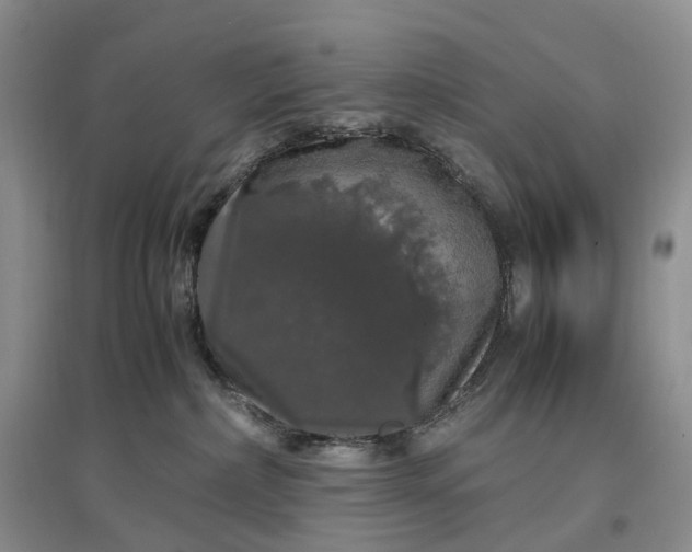 X0000097300236200802291820