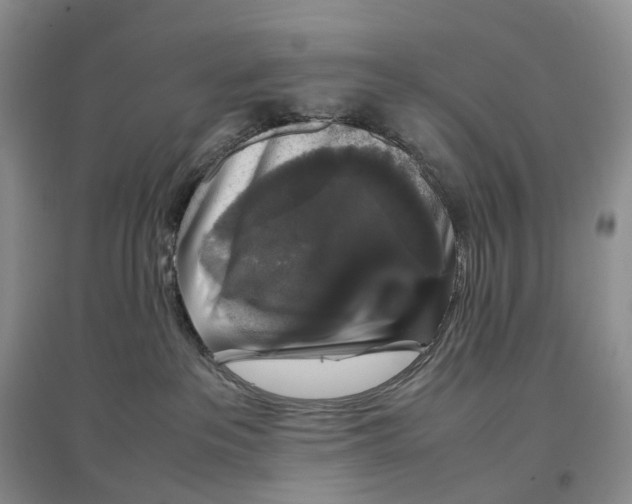 X0000097300237200802291820