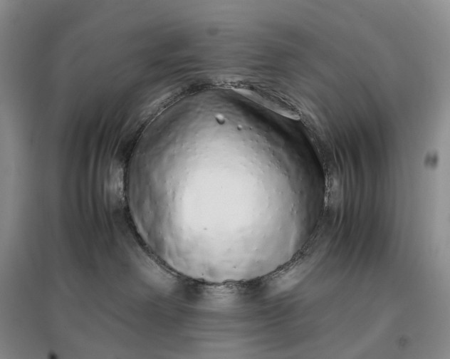 X0000097300238200802291820