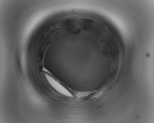 X0000097300239200802291820