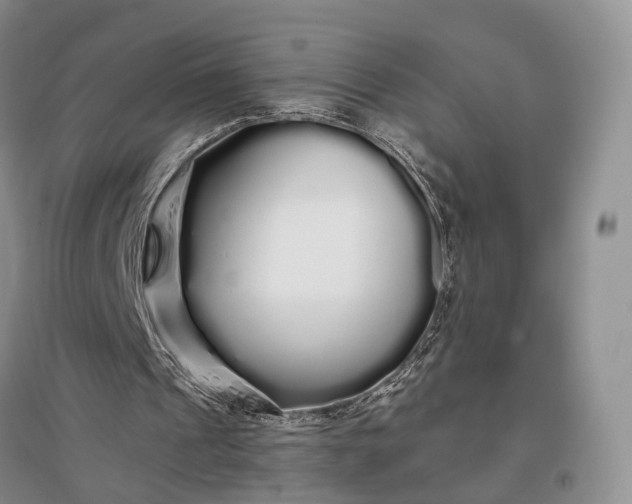 X0000097300241200802291819