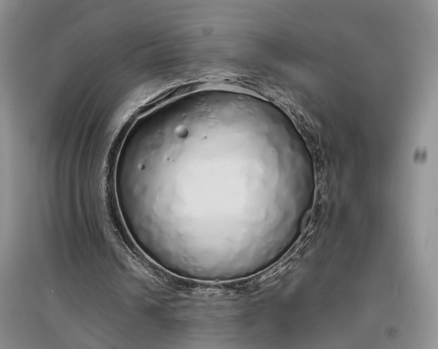 X0000097300242200802291819