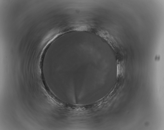 X0000097300243200802291819