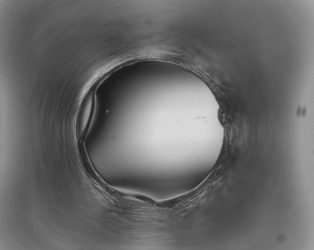 X0000097300244200802291819