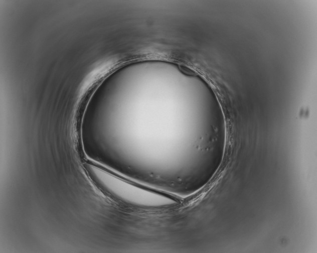 X0000097300245200802291819