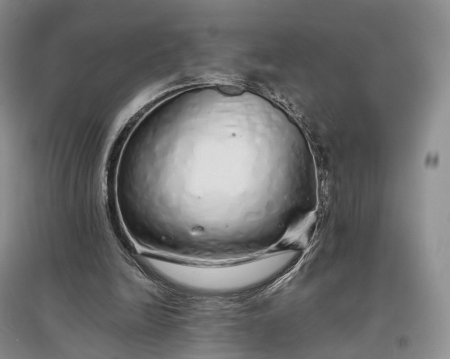 X0000097300246200802291819