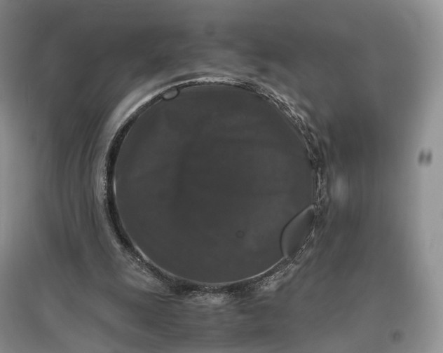 X0000097300247200802291819