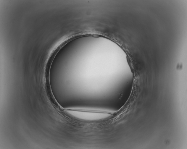 X0000097300248200802291819