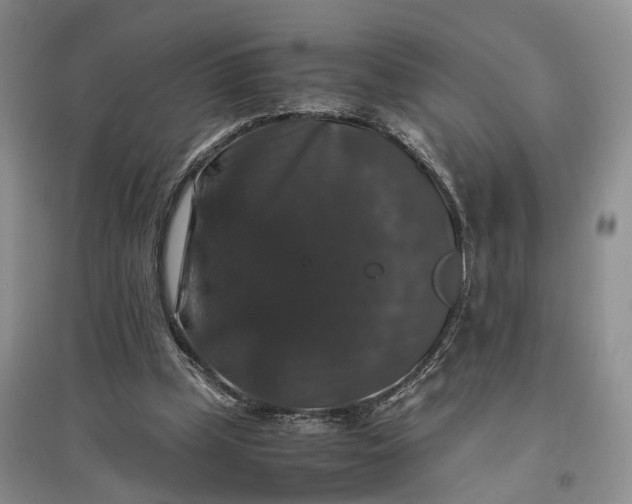 X0000097300249200802291819