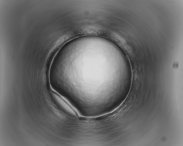 X0000097300250200802291819