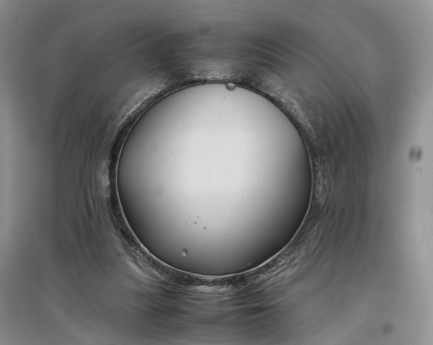 X0000097300251200802291819