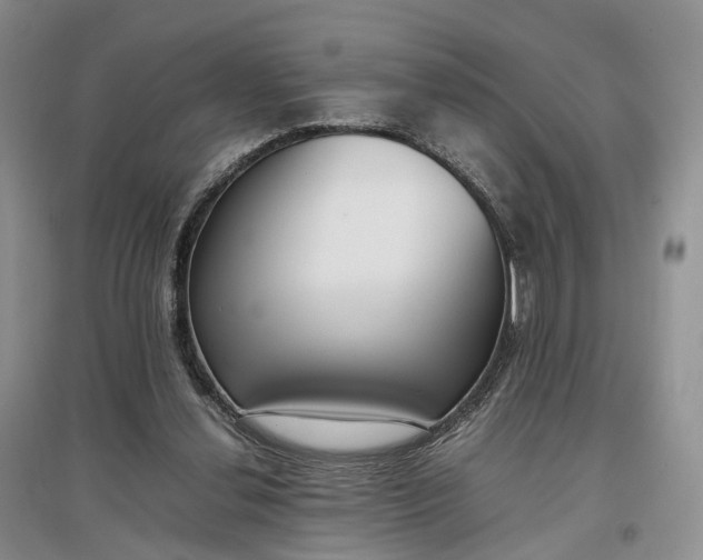 X0000097300252200802291819