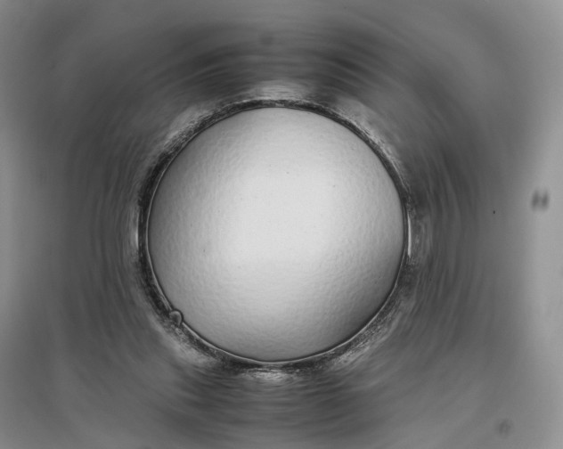 X0000097300253200802291820