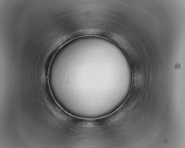 X0000097300254200802291820