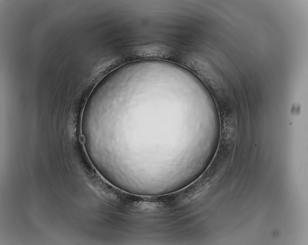 X0000097300255200802291820