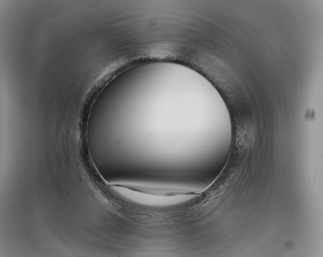 X0000097300256200802291820