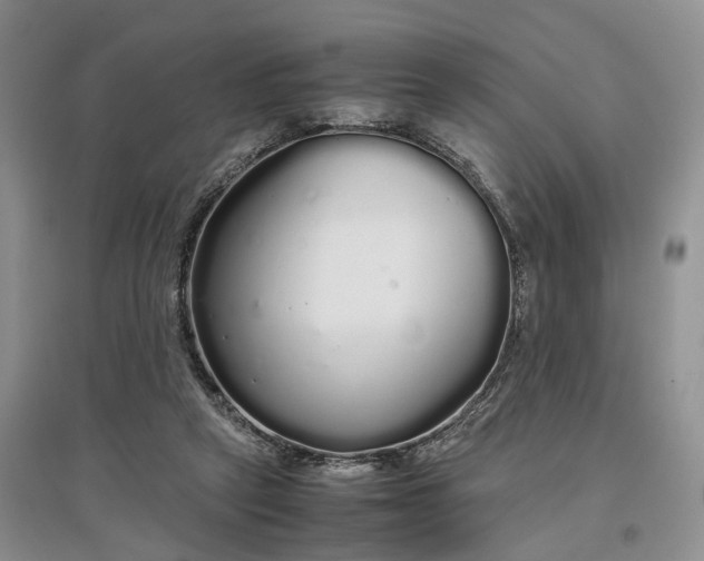 X0000097300257200802291820