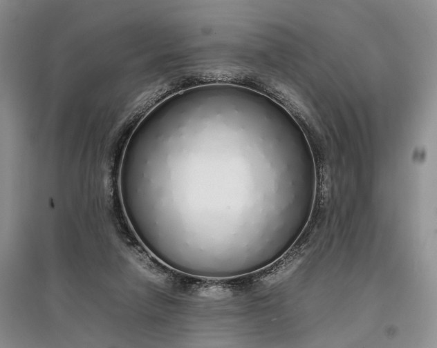 X0000097300258200802291820