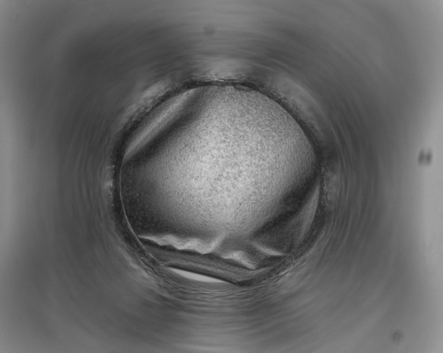 X0000097300260200802291820