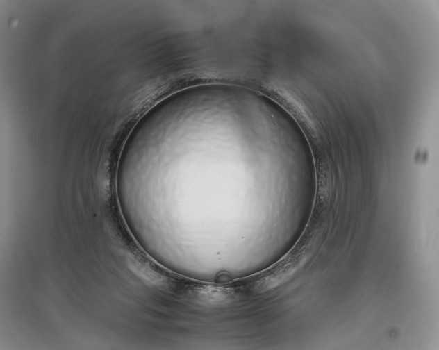 X0000097300261200802291820