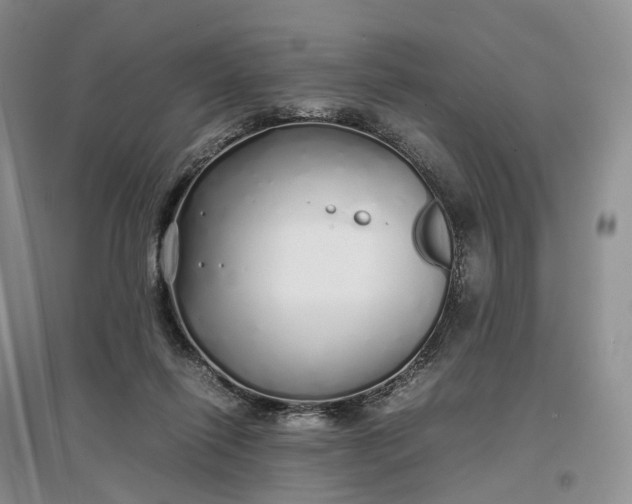 X0000097300262200802291820