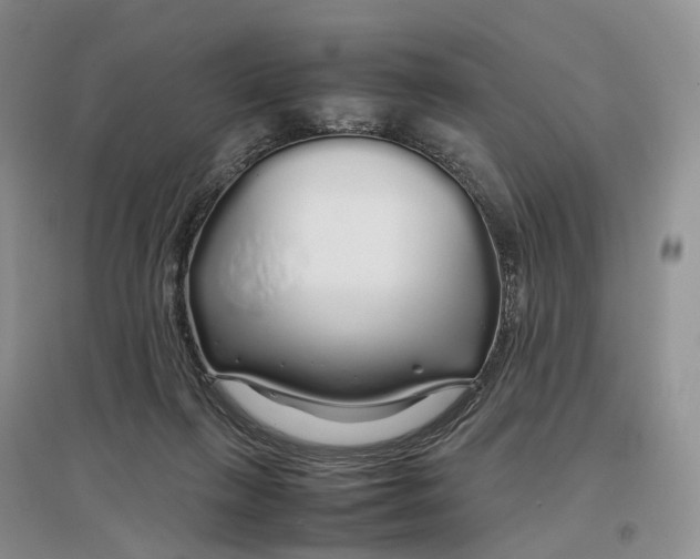 X0000097300263200802291820